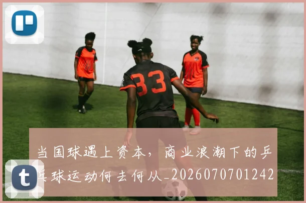 当国球遇上资本,商业浪潮下的乒乓球运动何去何从_20260707012421_20260722155536