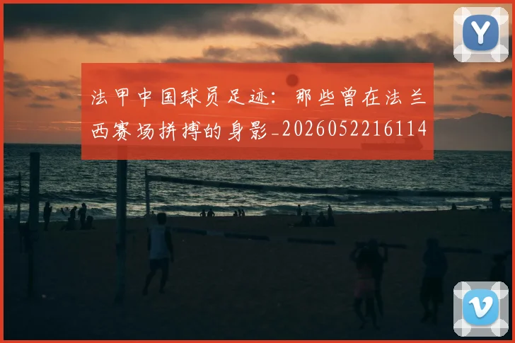 法甲中国球员足迹:那些曾在法兰西赛场拼搏的身影_20260522161146_20260801171332